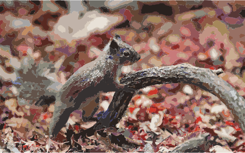 Japanese Squirrel edited version