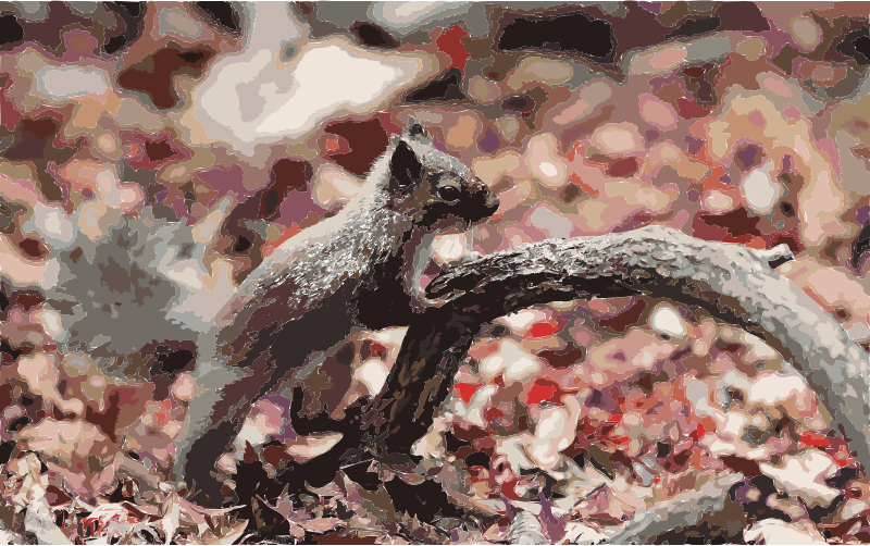 Japanese Squirrel WUXGA