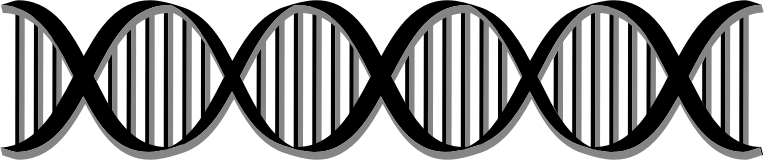 DNA Helix