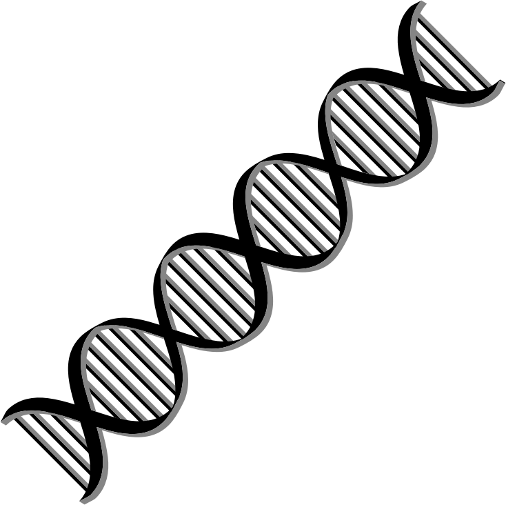 DNA Helix Variation 2