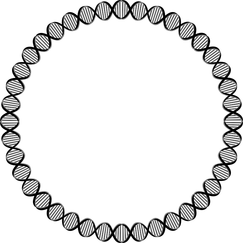 DNA Circle Medium