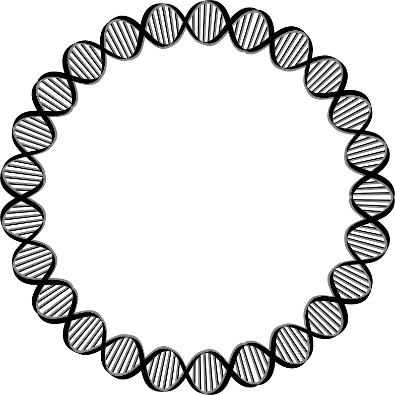 DNA Circle Large