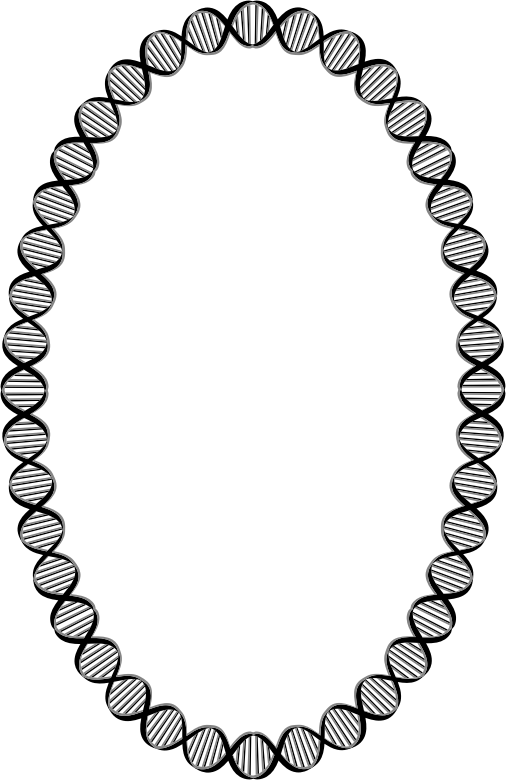 DNA Ellipse