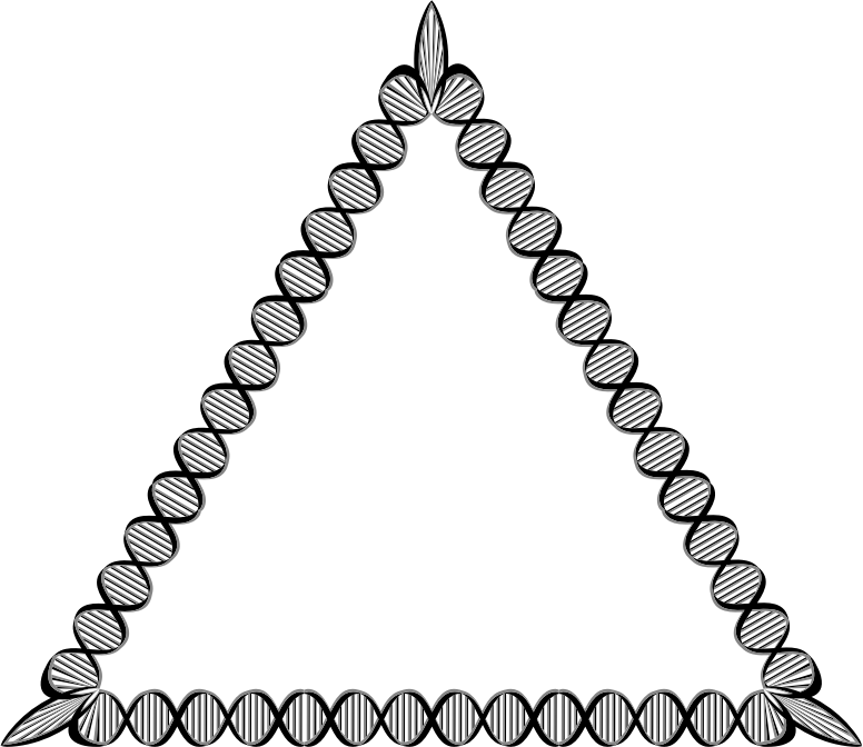 DNA Triangle