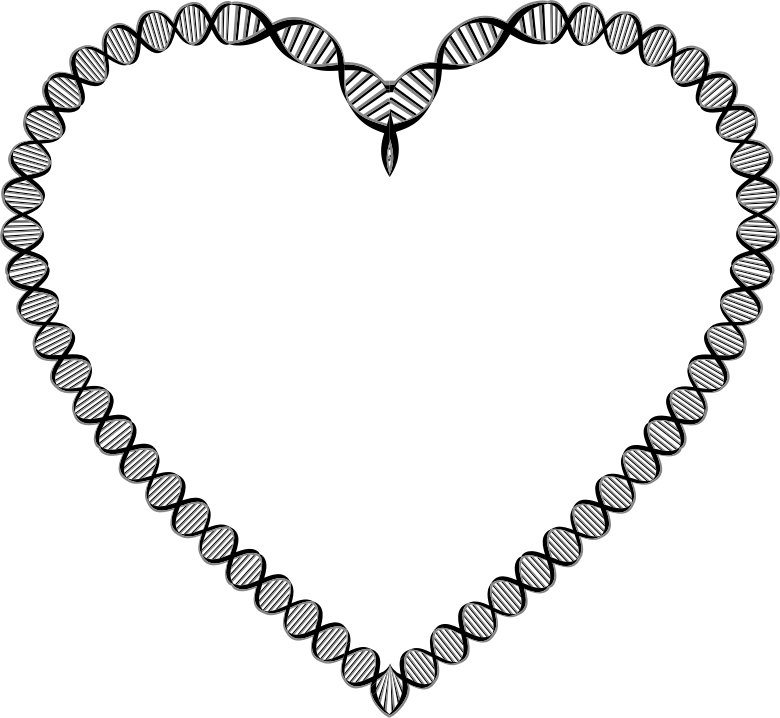 DNA Heart Variation 2