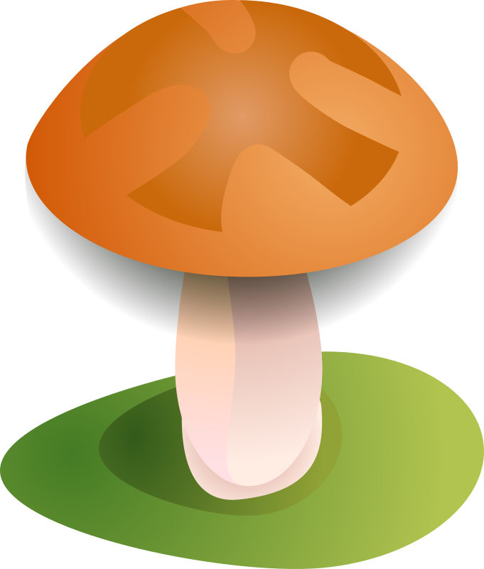 Mushroom