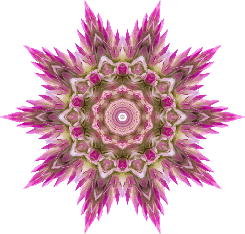 Wildflower kaleidoscope 2