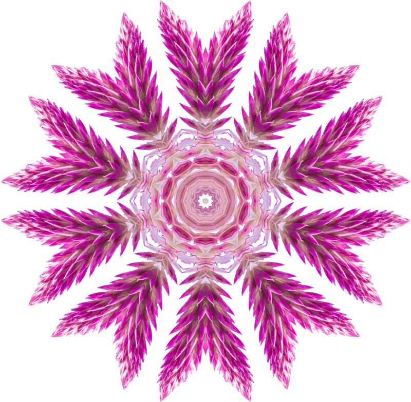 Wildflower kaleidoscope 1