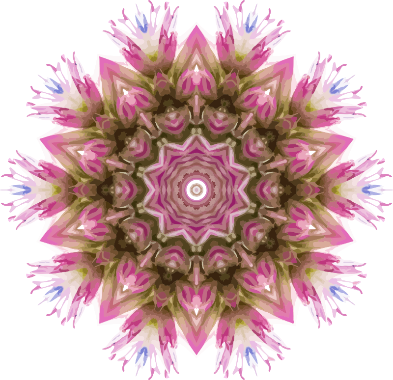 Wildflower kaleidoscope 3