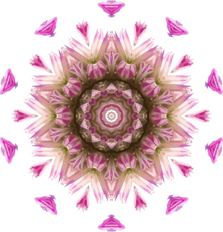 Wildflower kaleidoscope 4
