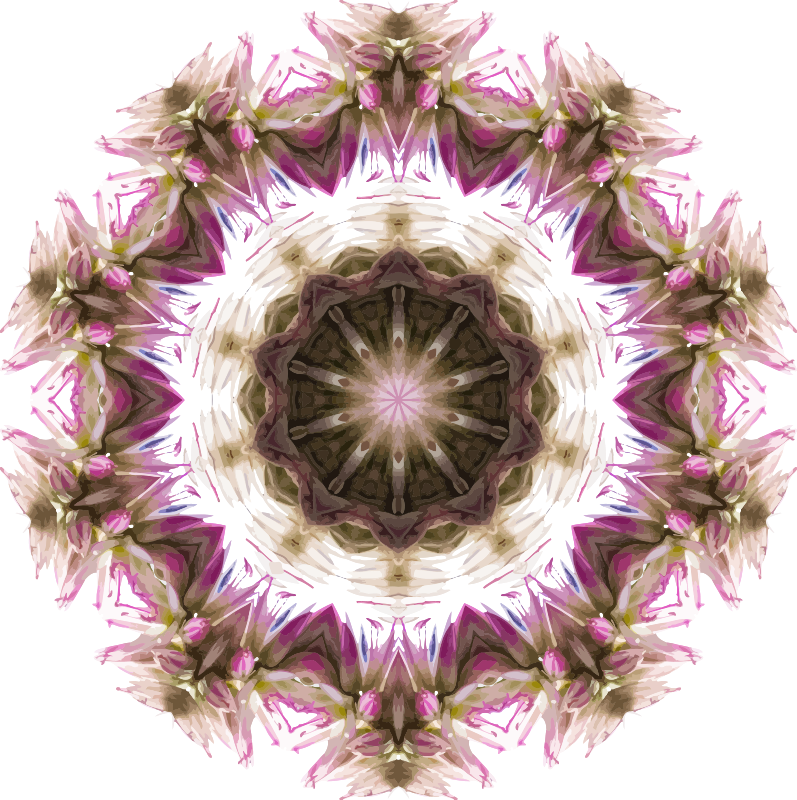 Wildflower kaleidoscope 7
