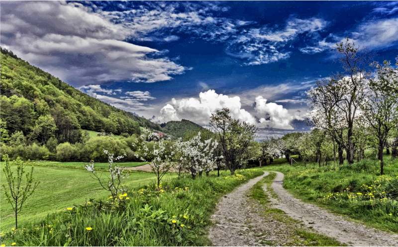 Spring Path