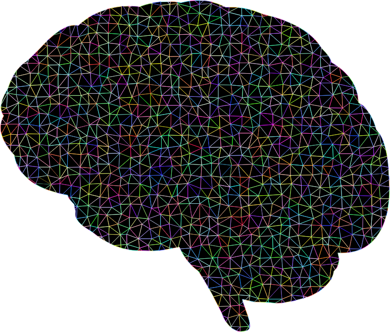 Prismatic Polygonal Wireframe Brain