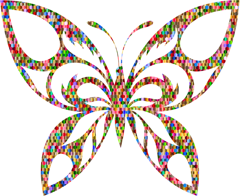 Vibrant Chromatic Hexagonal Tribal Butterfly Silhouette