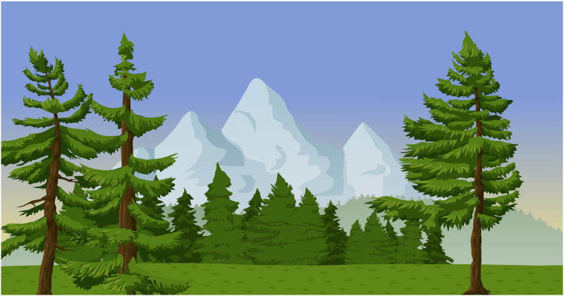 Mountain scene with pine trees