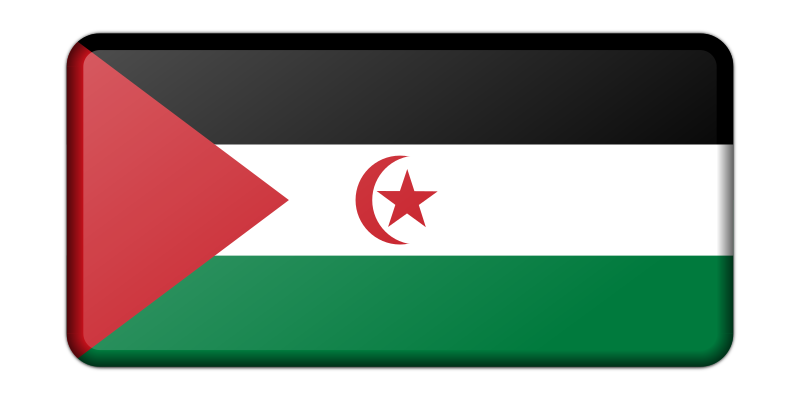 Sahrawi Arab Democratic Republic flag (bevelled)