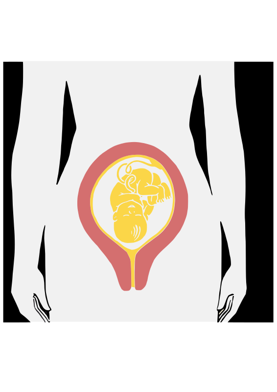 Antepartum woman