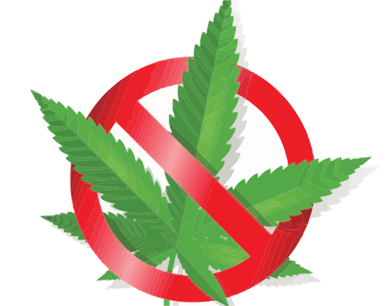 No Cannabis