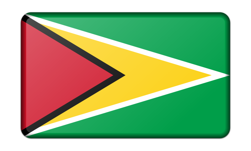 Flag of Guyana (bevelled)