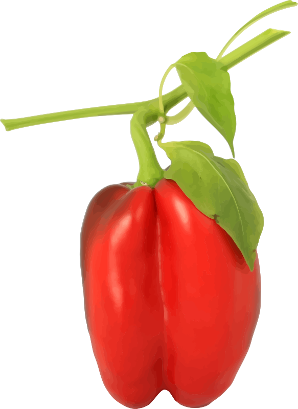 Red pepper