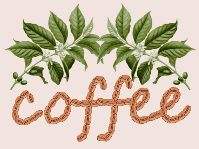 coffee design