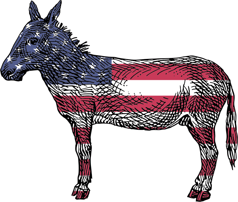 Patriotic Donkey