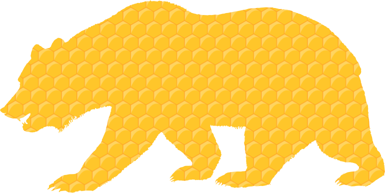 Honeycomb Bear