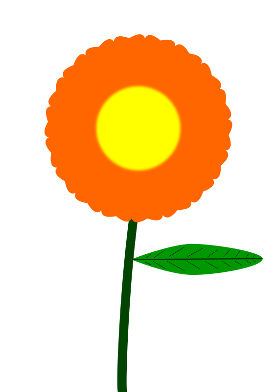 Orange flower