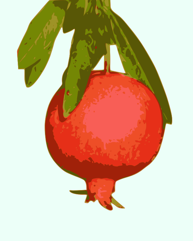 pomegranate