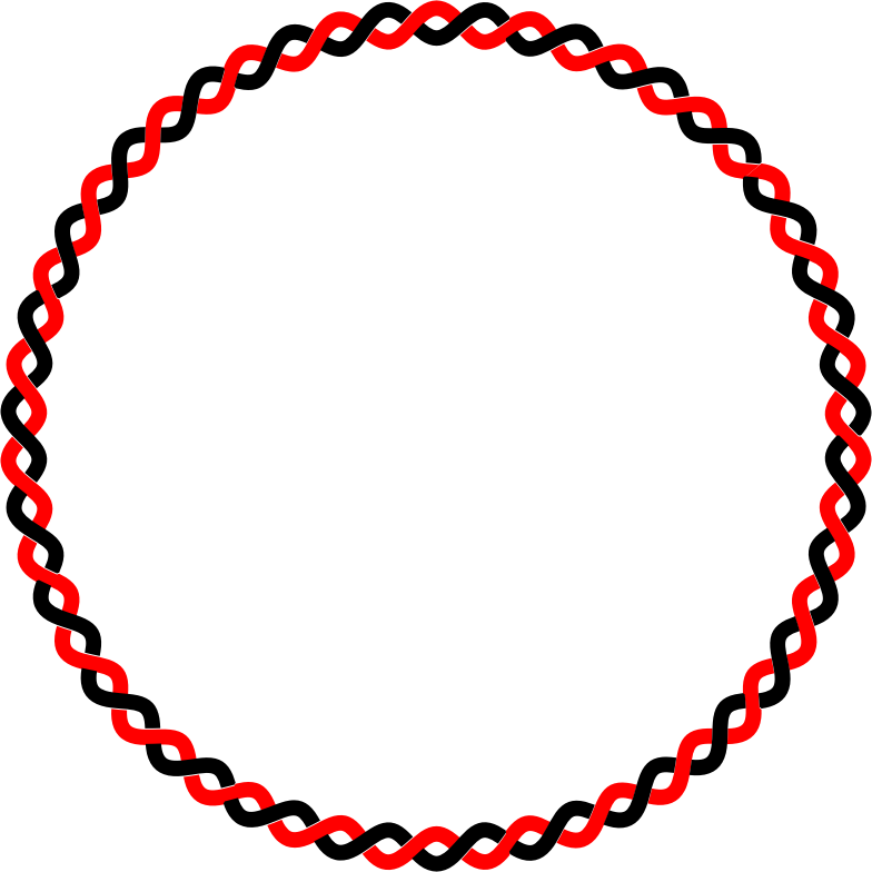 Intertwined Circle