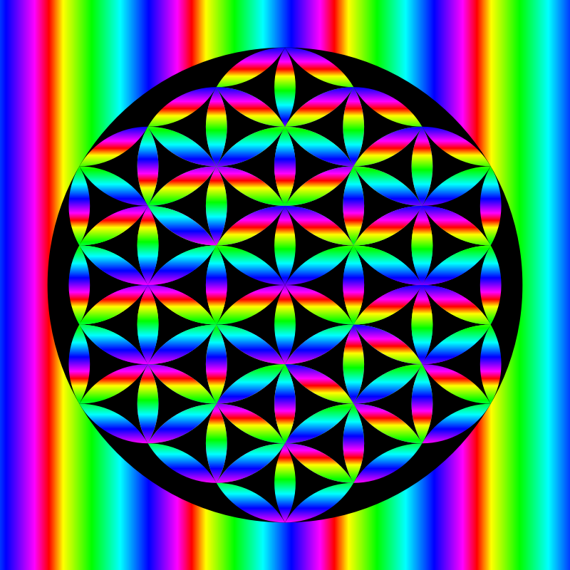 Rainbow Flower of Life in black circle