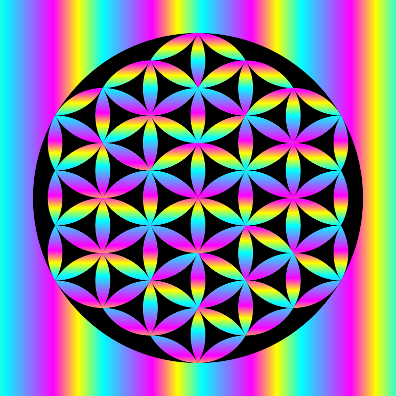 YCM Rainbow Flower of Life in Black Circle