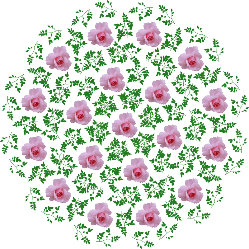 rose design