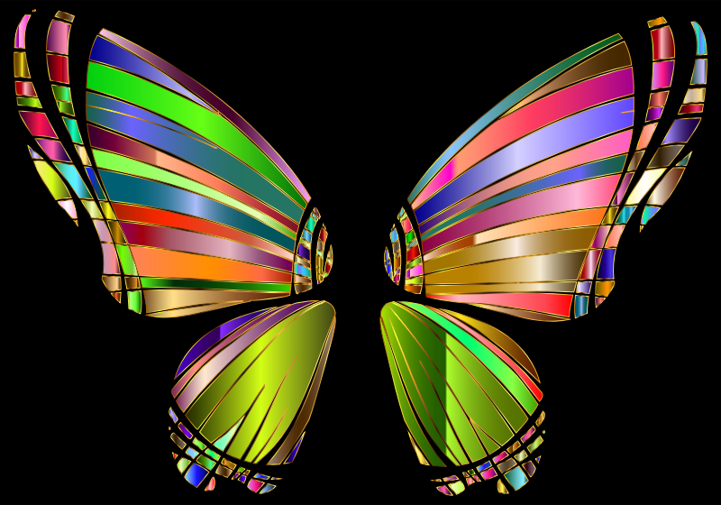 RGB Butterfly Silhouette 10 4