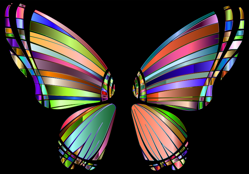 RGB Butterfly Silhouette 10 5