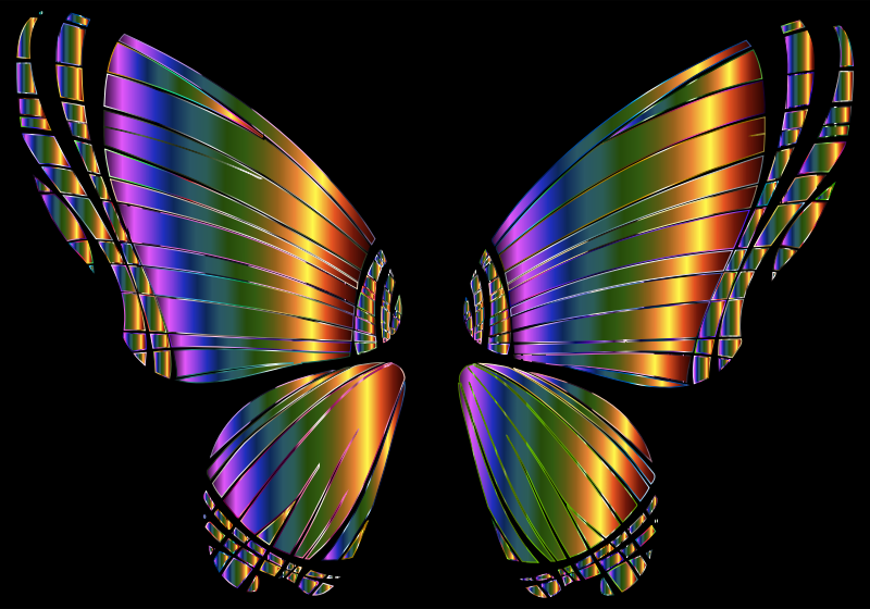 RGB Butterfly Silhouette 10 7