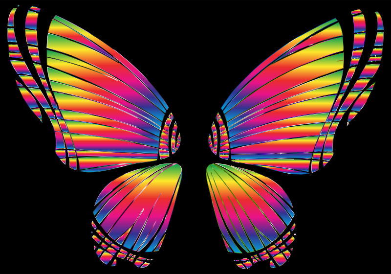 RGB Butterfly Silhouette 10 8