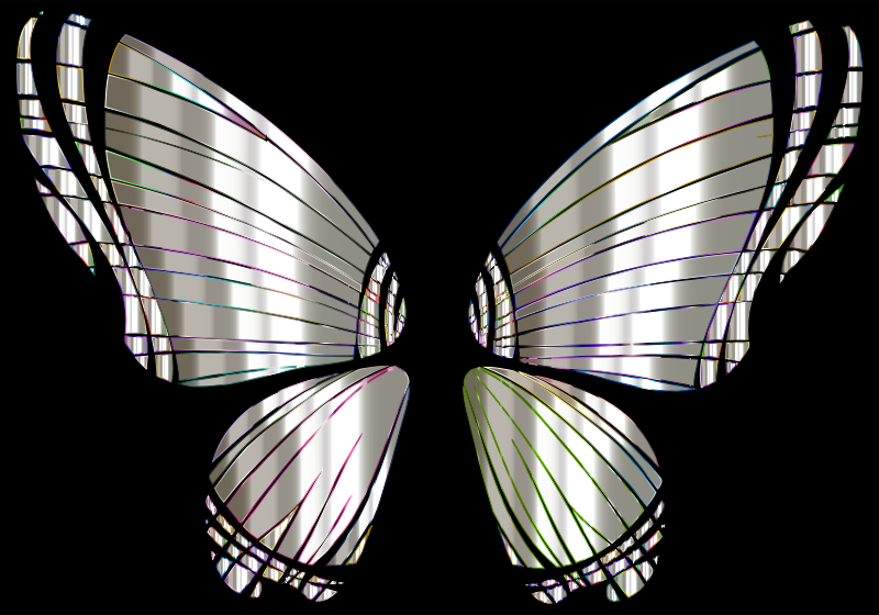 RGB Butterfly Silhouette 10 13
