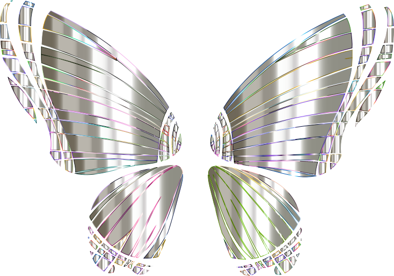 RGB Butterfly Silhouette 10 13 No Background