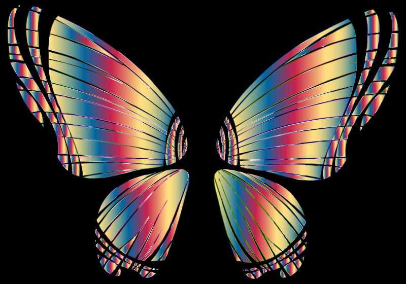 RGB Butterfly Silhouette 10 16