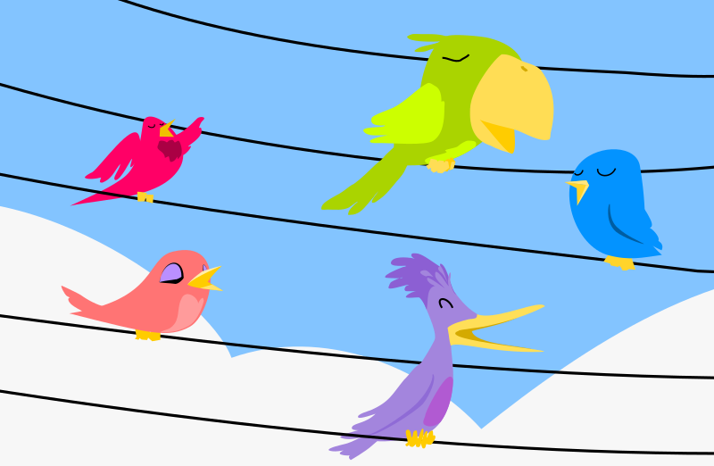 Song Birds