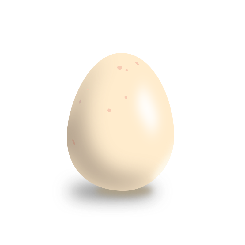 Egg