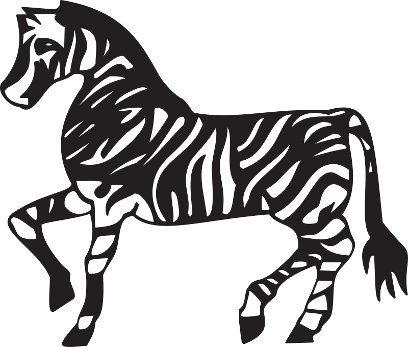 Zebra