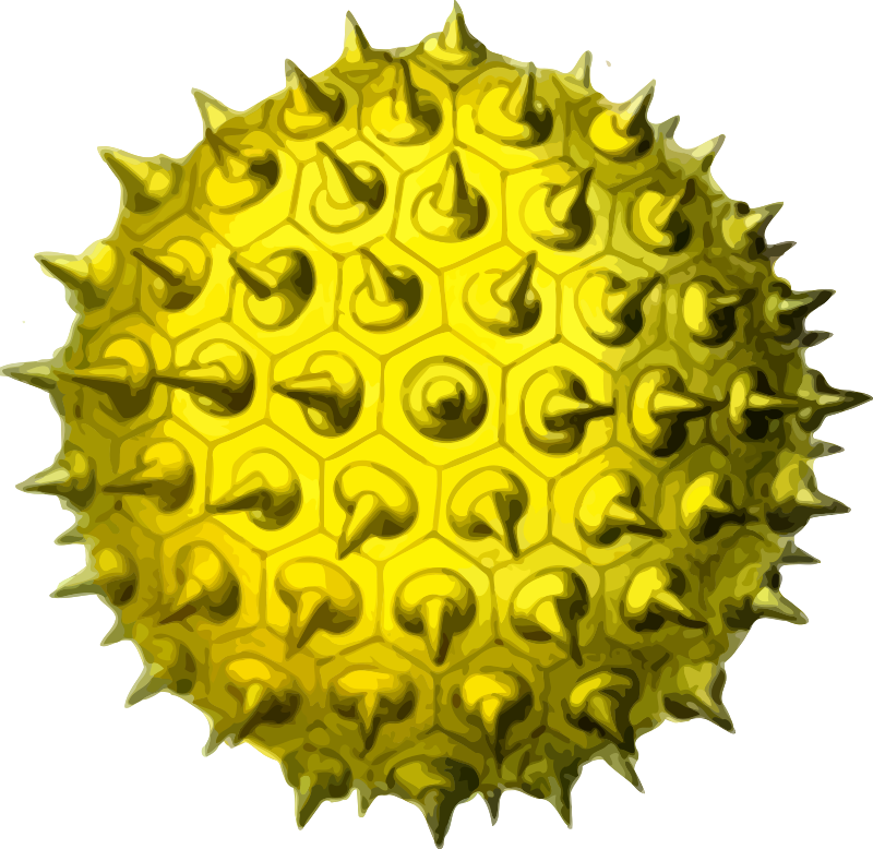Pollen 2