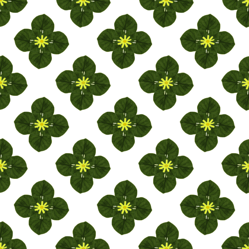 seamless pattern 009