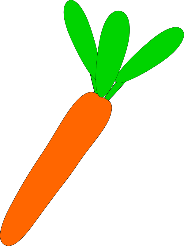 carrot