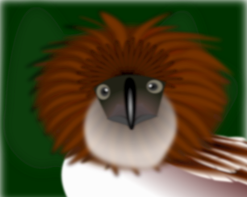 Philippine Eagle