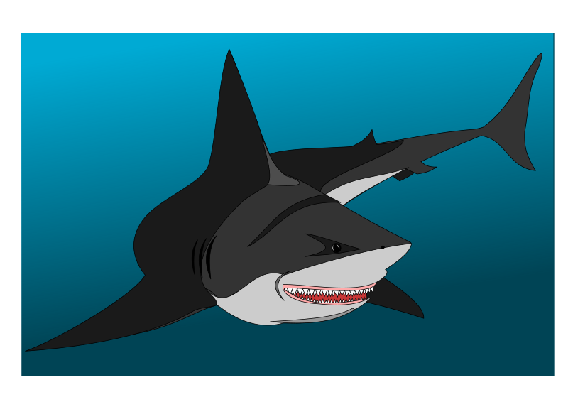 Non-friendly shark