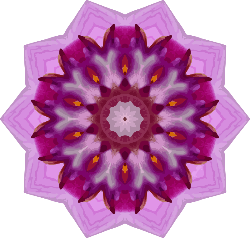 Orchid kaleidoscope 4