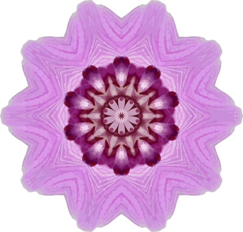 Orchid kaleidoscope 3